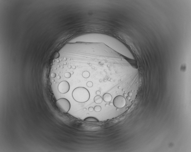 X0000116290167201001111104