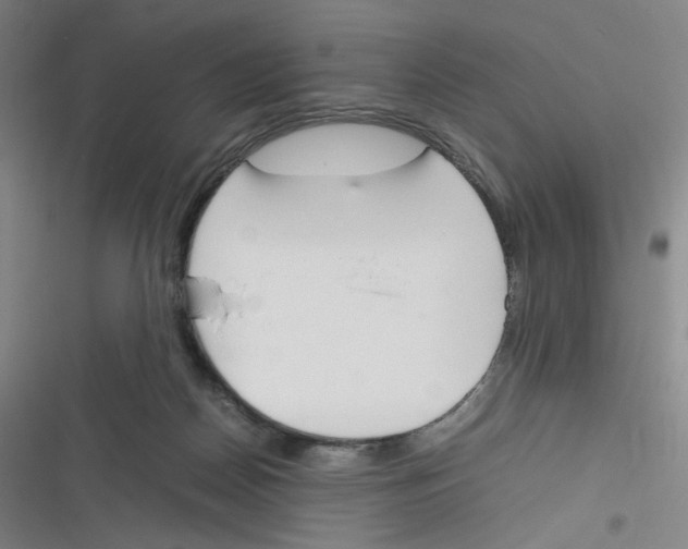 X0000116290170201001111104