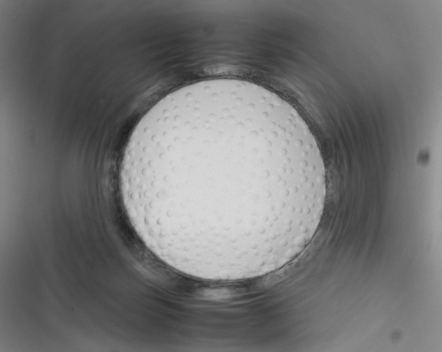 X0000116290171201001111104