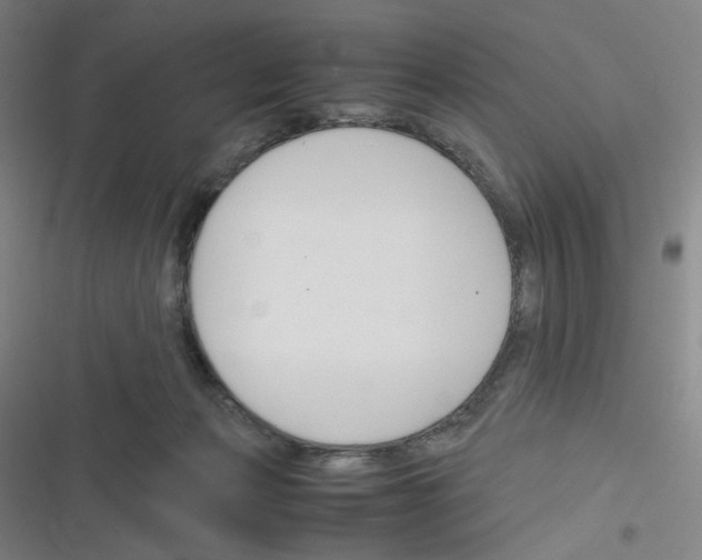 X0000116290173201001111104