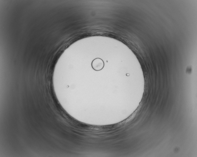 X0000116290174201001111104