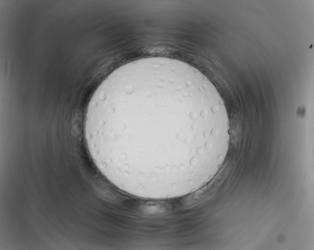 X0000116290175201001111104