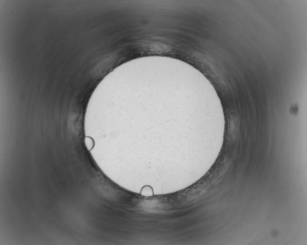 X0000116290177201001111104