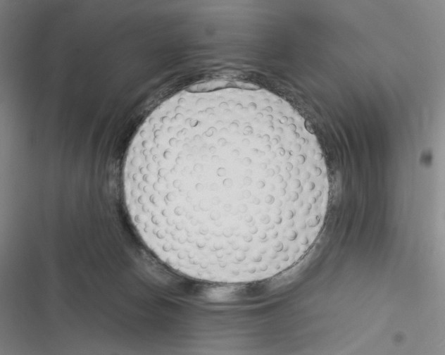 X0000116290178201001111104