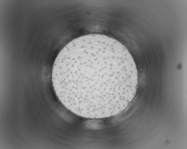 X0000116290179201001111104