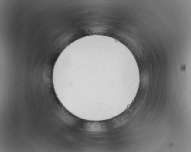 X0000116290181201001111104