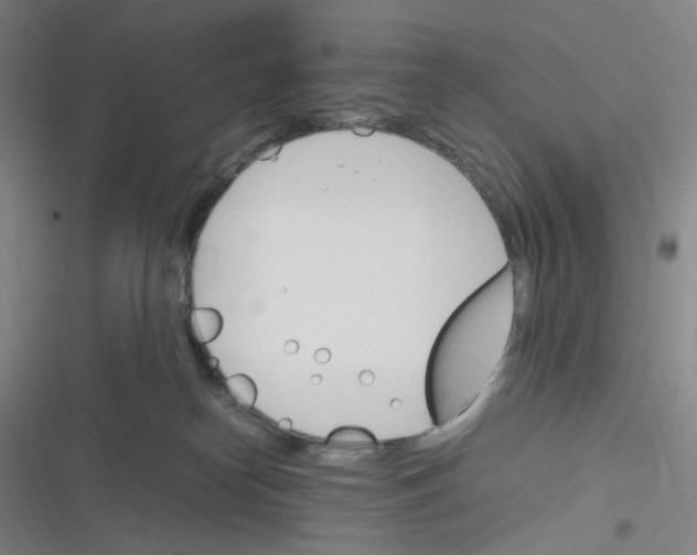 X0000116290182201001111104