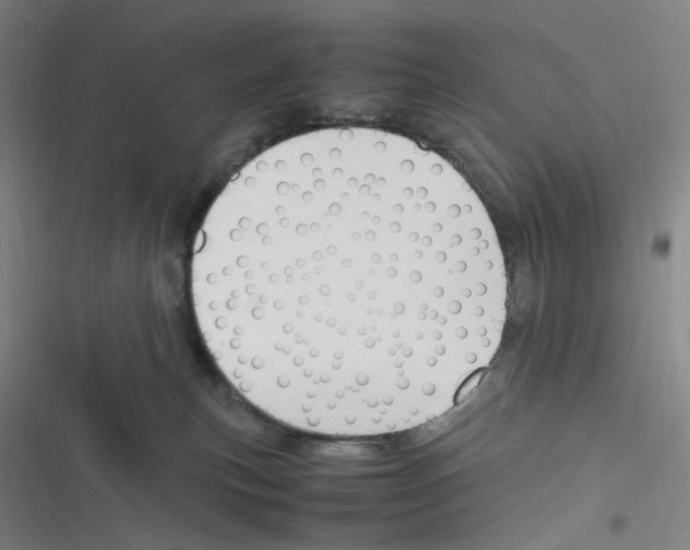 X0000116290183201001111104