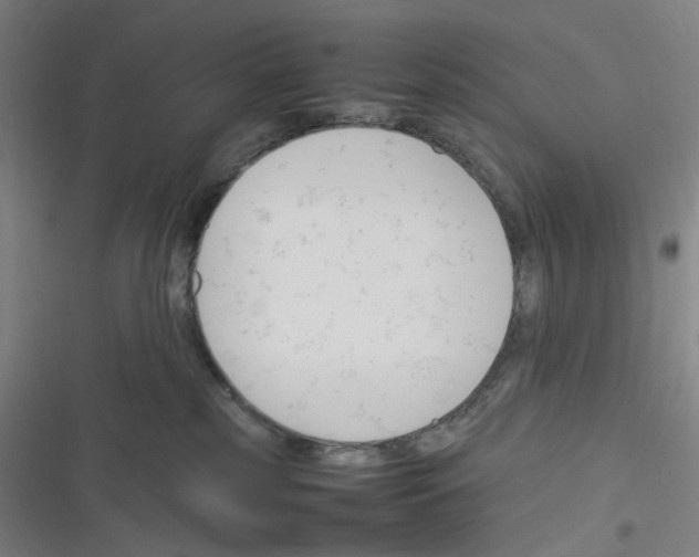 X0000116290185201001111104