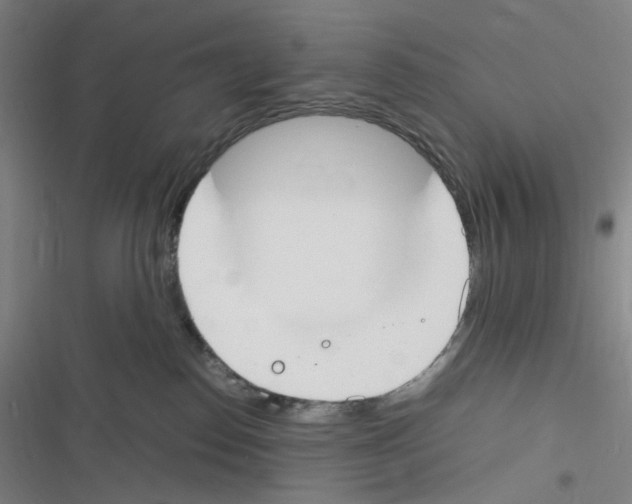 X0000116290186201001111104