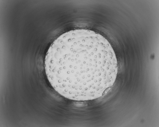 X0000116290187201001111104