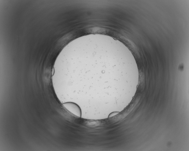 X0000116290189201001111104