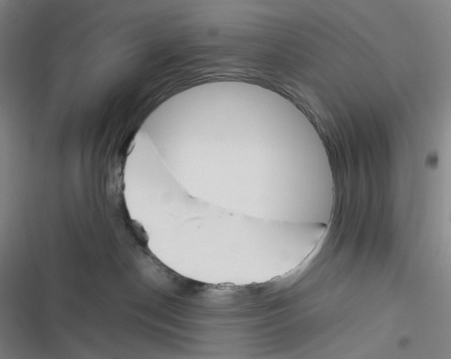 X0000116290190201001111104