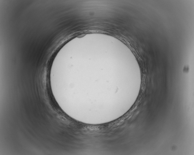 X0000116290194201001111103