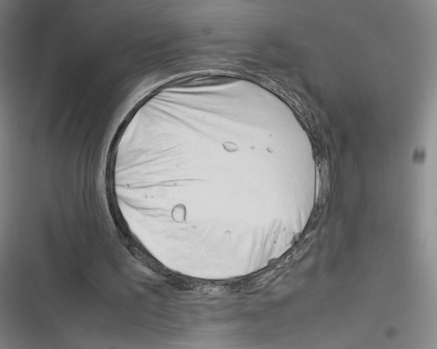 X0000116290195201001111103