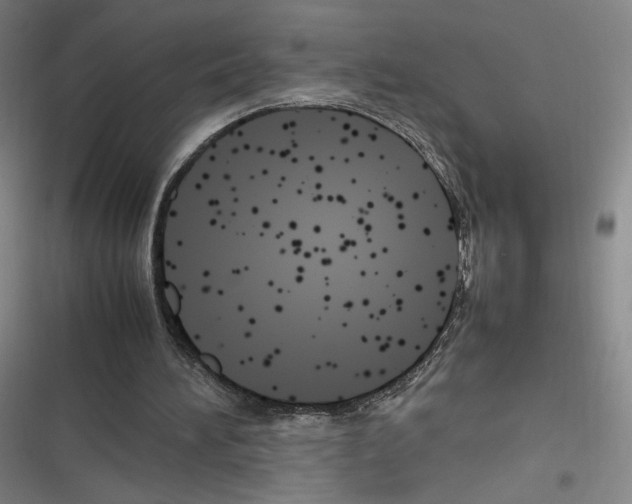 X0000116290196201001111103