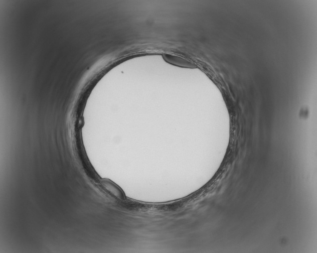 X0000116290197201001111103