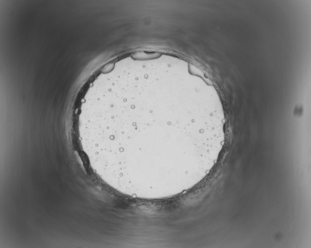 X0000116290199201001111103