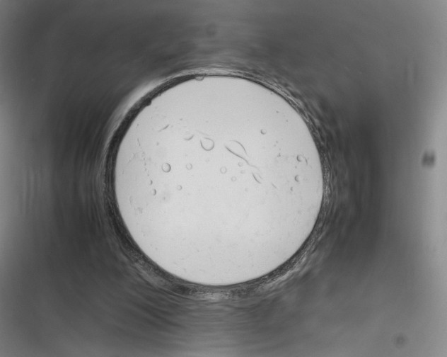 X0000116290200201001111103