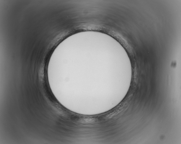 X0000116290202201001111103