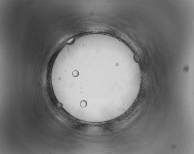 X0000116290203201001111103