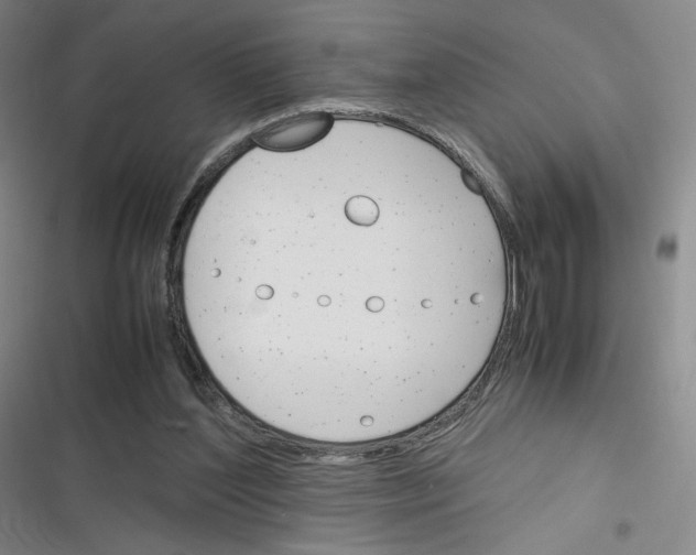 X0000116290204201001111103