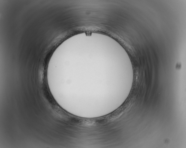 X0000116290206201001111103