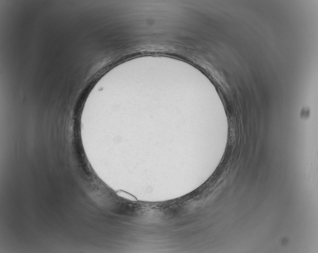 X0000116290207201001111103