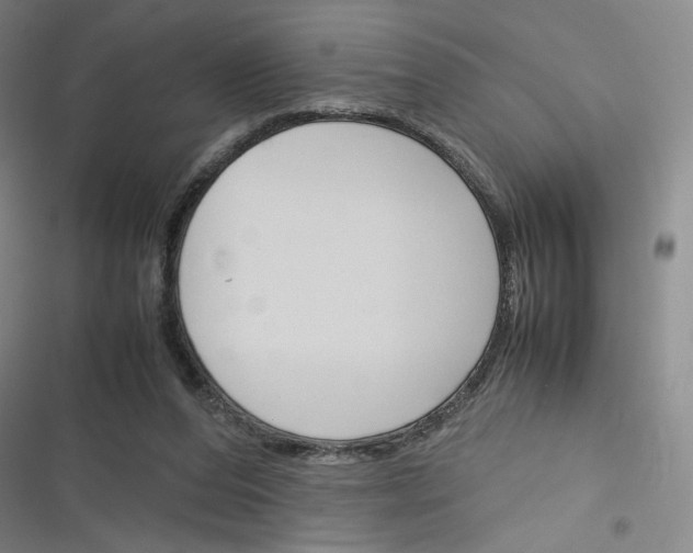 X0000116290208201001111103