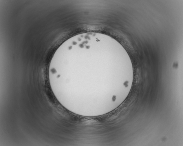 X0000116290210201001111103