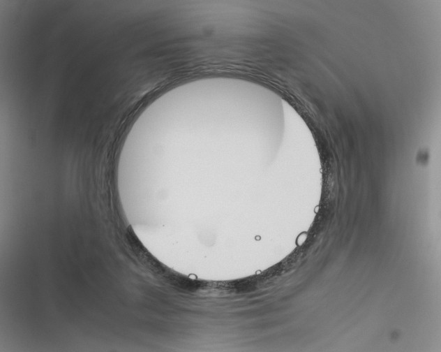 X0000116290211201001111103