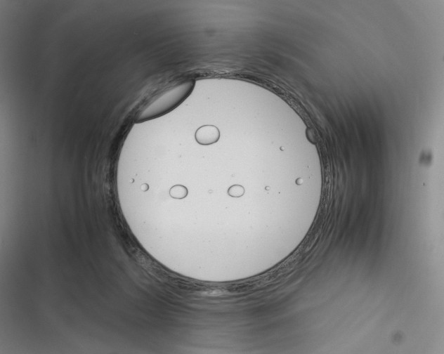 X0000116290212201001111103