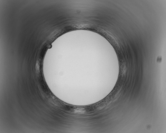 X0000116290214201001111103