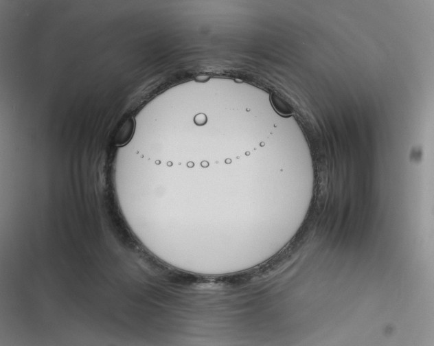 X0000116290216201001111103