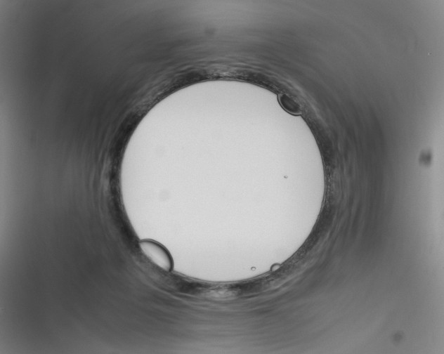 X0000116290217201001111103