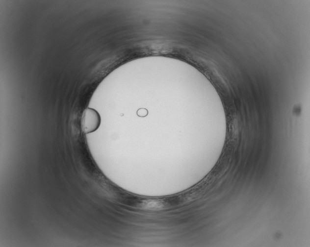 X0000116290218201001111103