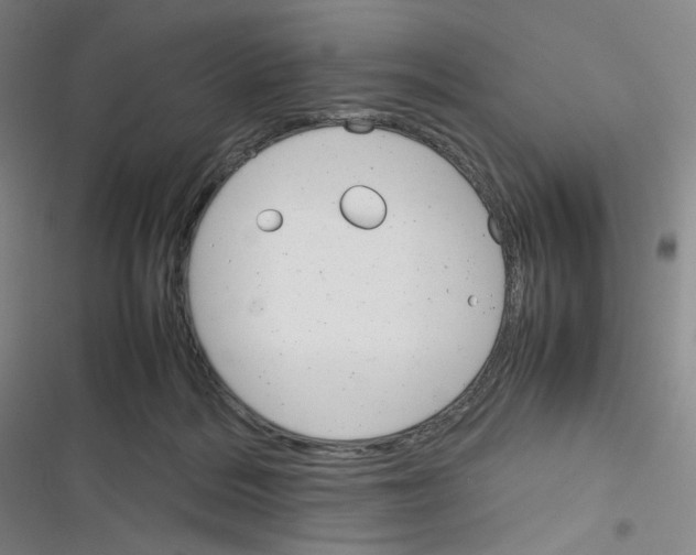 X0000116290220201001111103