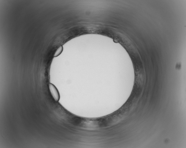 X0000116290221201001111103