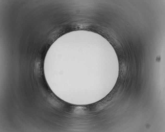 X0000116290222201001111103