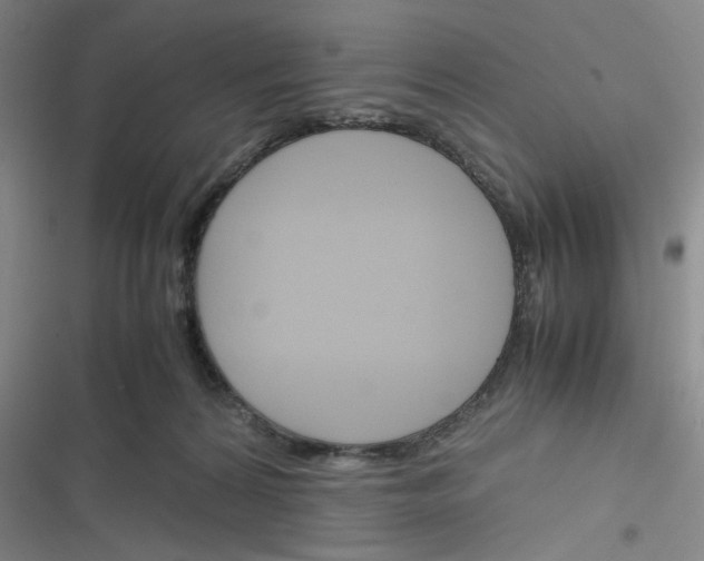 X0000116290224201001111103