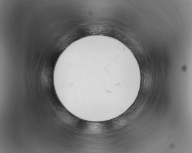 X0000116290226201001111103