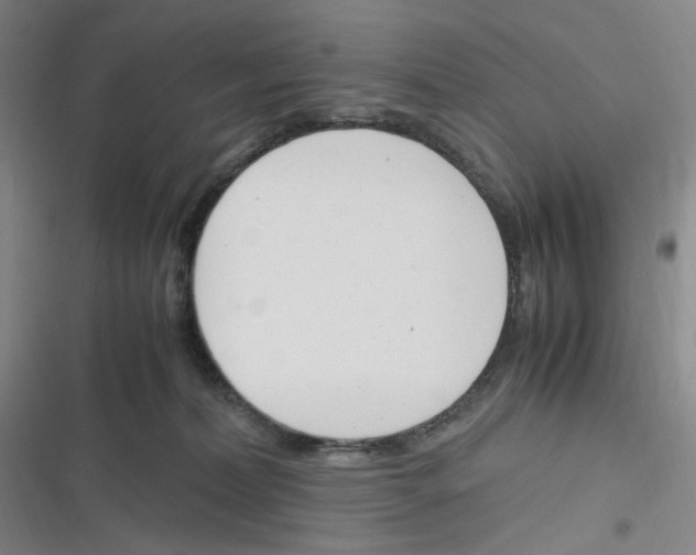 X0000116290228201001111103