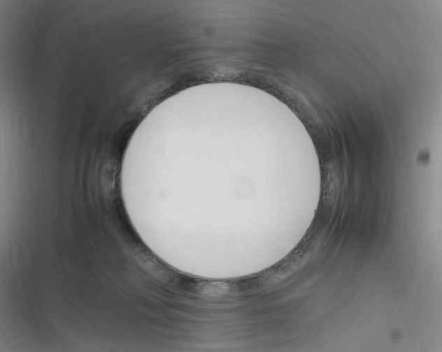 X0000116290230201001111103