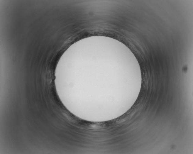 X0000116290232201001111103