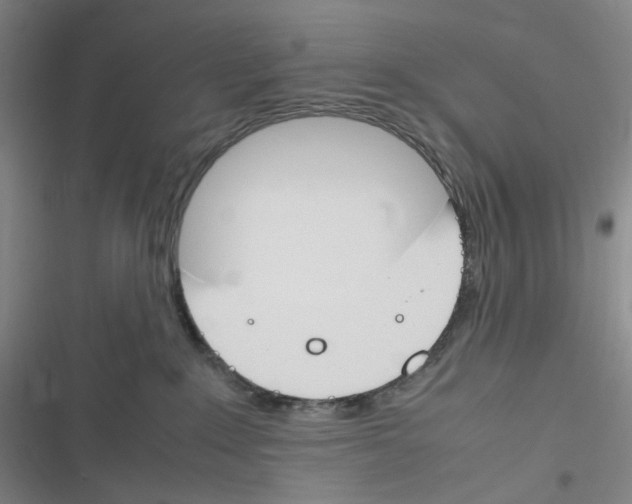 X0000116290235201001111103