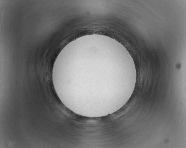 X0000116290236201001111103