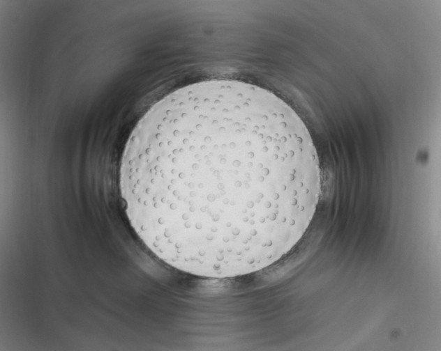 X0000116290238201001111103