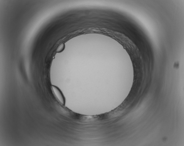 X0000116290239201001111103