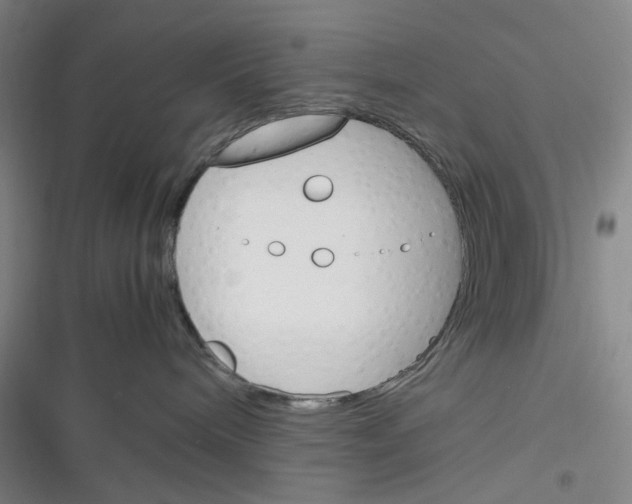 X0000116290240201001111103