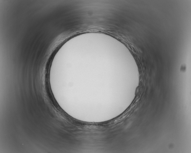 X0000116290242201001111102